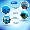 image:imageScuba Choice Scuba Diving Triple Hose Holder Clip  Low amp High Pressure Hose Organizer for Regulators amp Octopus Setup Durable Dive AccessoriesYellow